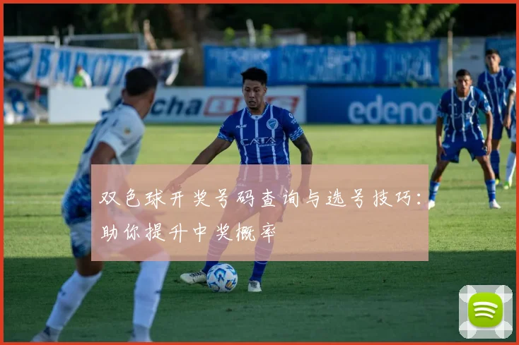 双色球开奖号码查询与选号技巧：助你提升中奖概率
